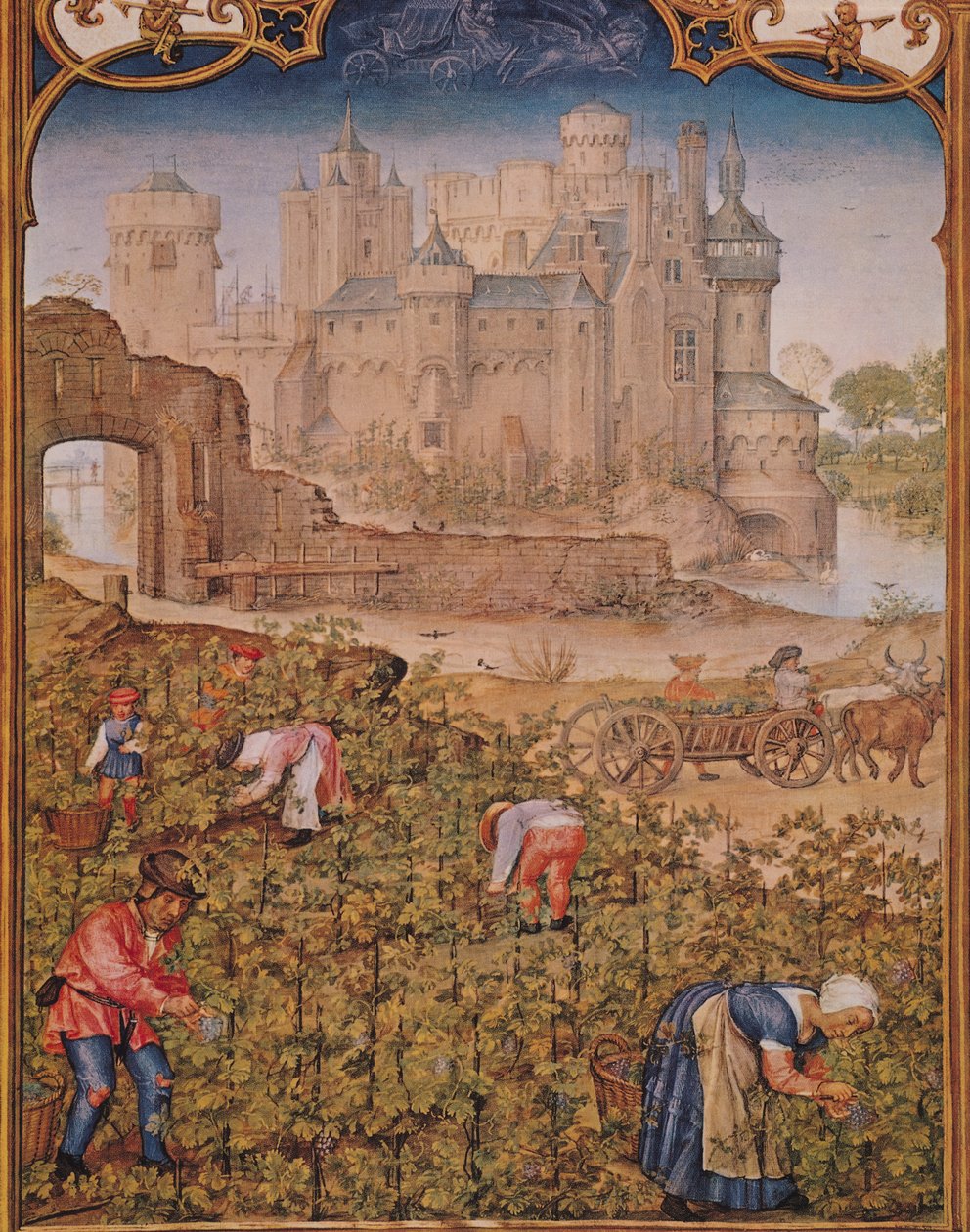 Fol.9v Eylül Ayı: Şarap Hasadı, Breviarium Grimani