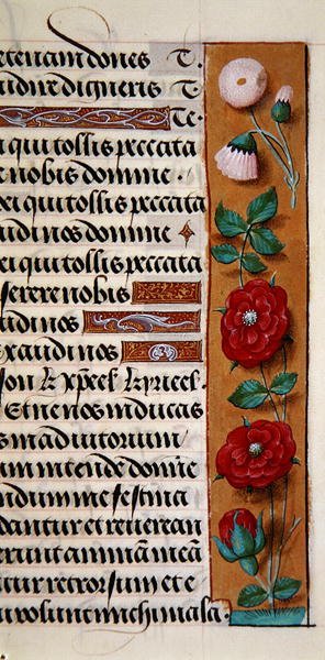 Ms. 1058-1975, f.120r: Saatler Kitabı