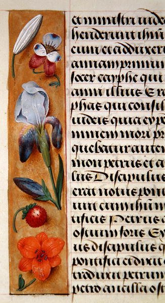 Ms. 1058-1975, f.16v: Saatler Kitabı