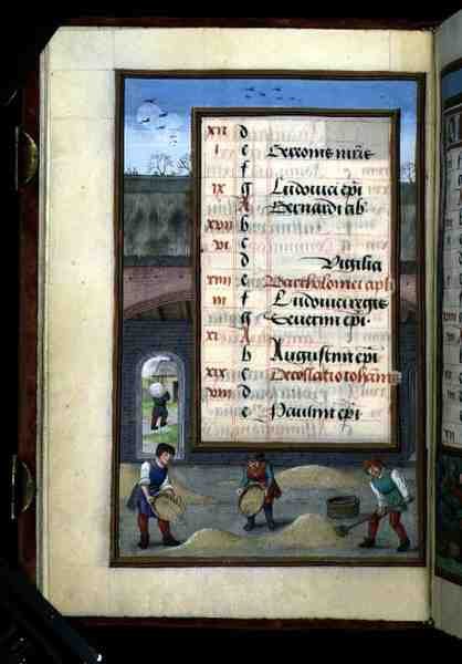 Ms 1058-1975 f8v Ahırda Mısır Kazanmak, Saatler Kitabından Ağustos ayı için ışıklı takvim sayfası, c.1500 (parşömen) by Flemish School