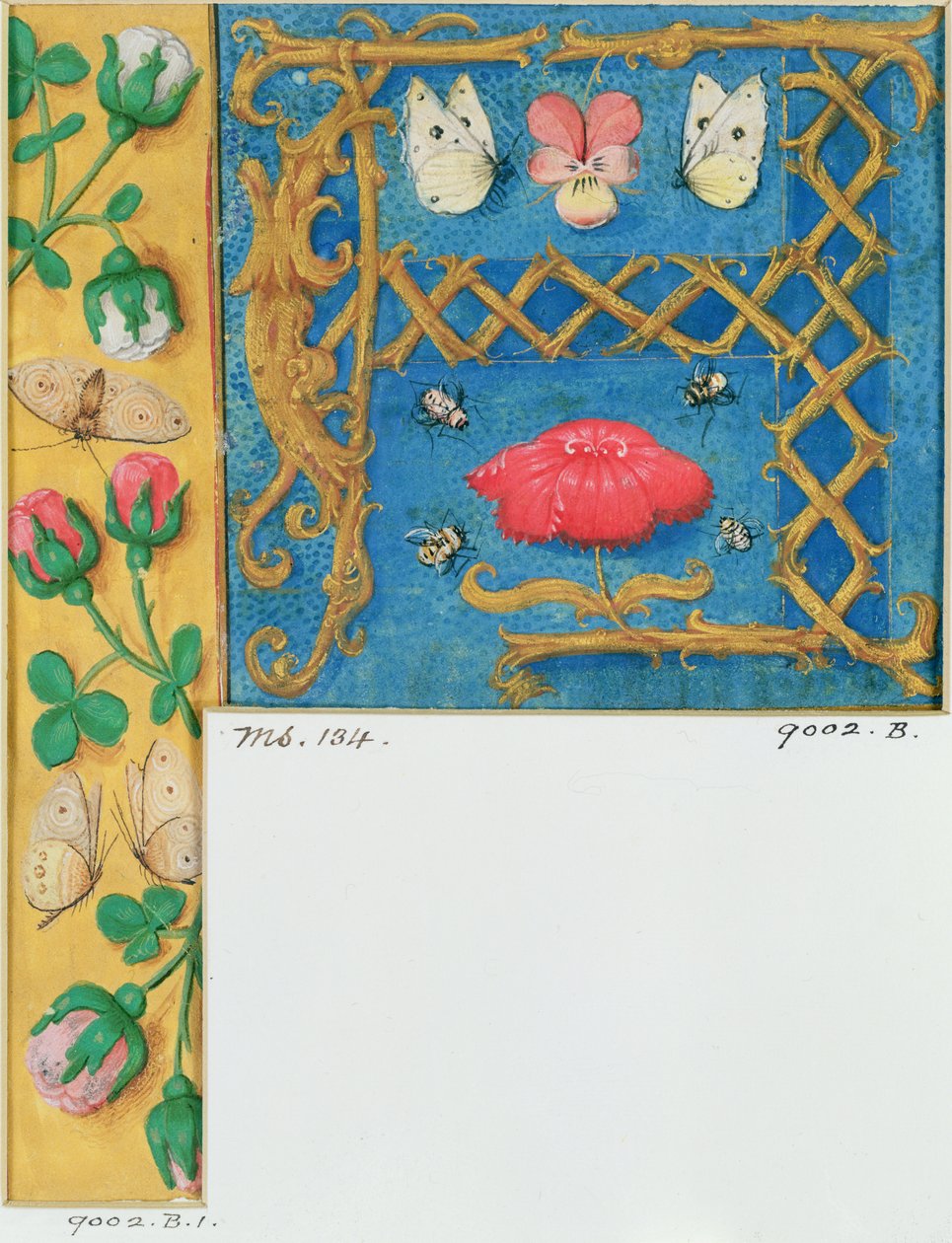 Ms 134 Işıklı A harfi ve çiçeklerin yan kenarı, bir Saatler Kitabından, c.1500 by Flemish School