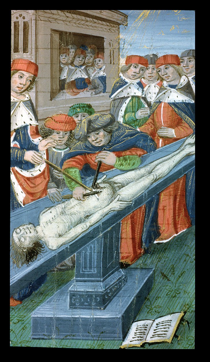 Ms Hunter 9 10r Diseksiyon, De Medina Fen I. II