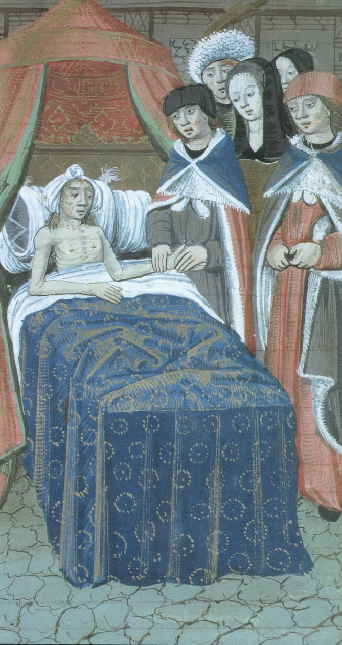 Bayan Hunter 9 f.76r De Medina Fen I. II