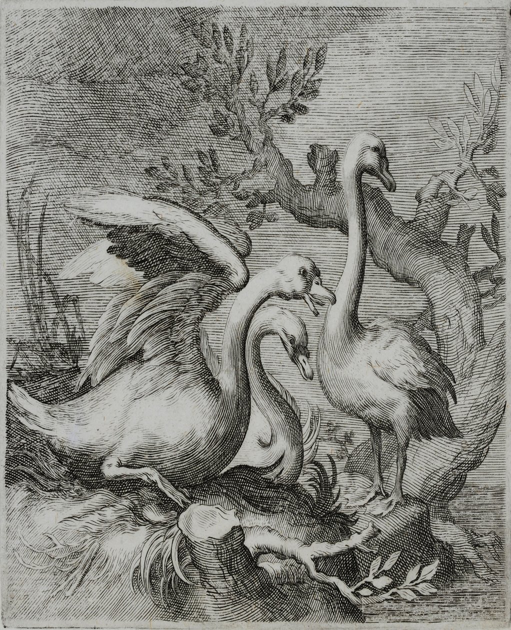 Eski Usta Gravür by Flemish School