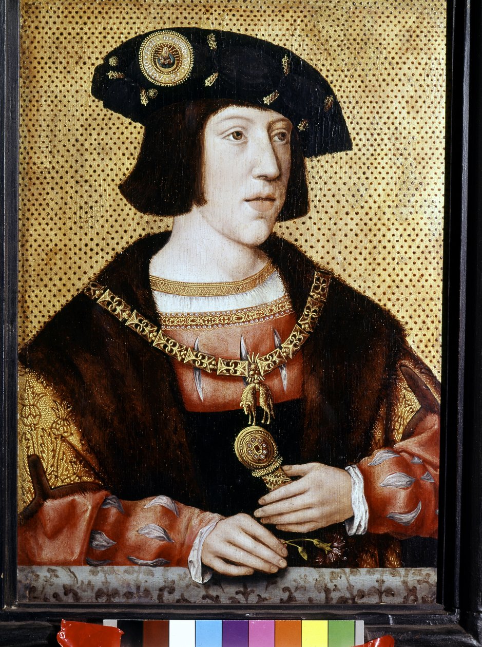 Charles V (1500 - 1558), Almanya İmparatoru