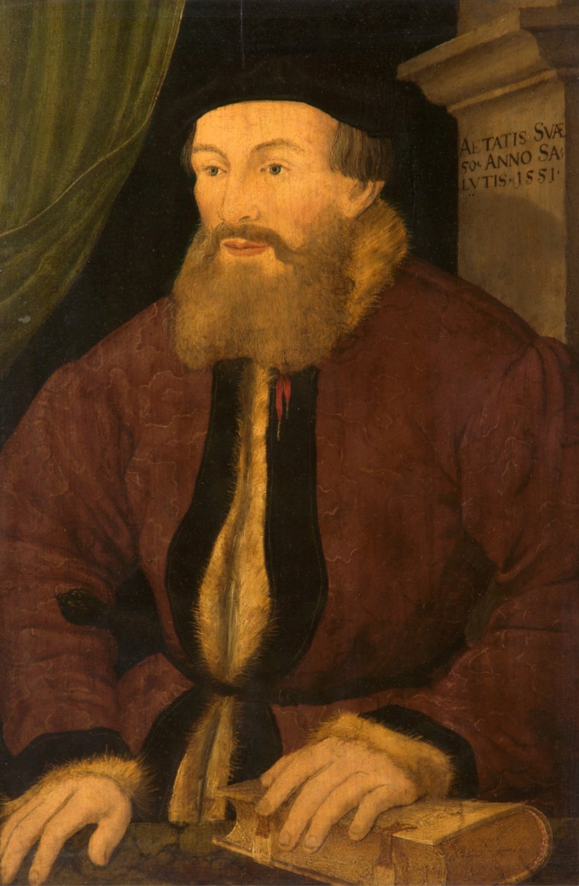 Bir Adamın Portresi, 1551 by Flemish School