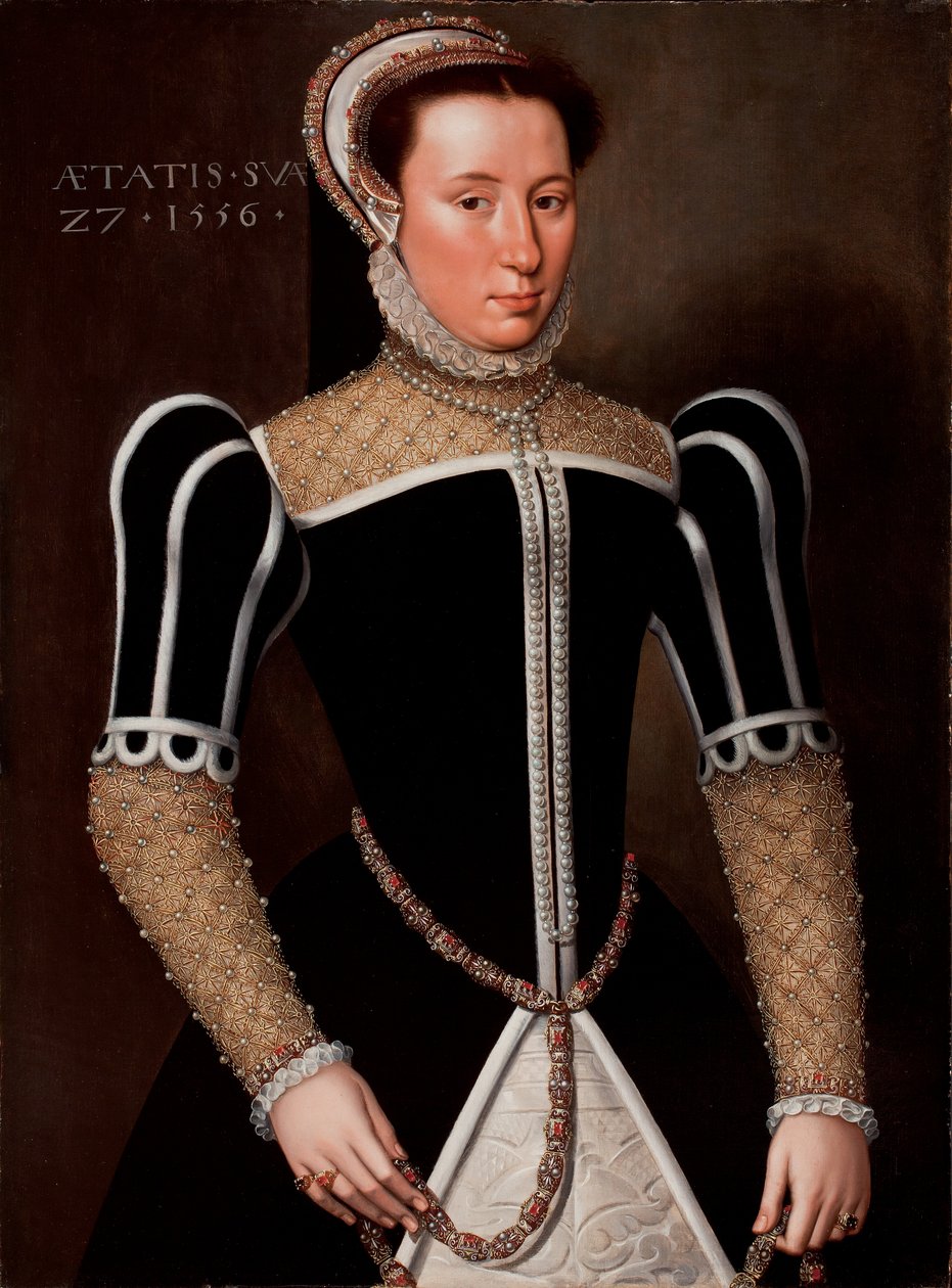 Bir Kadının Portresi, 1556 by Flemish School