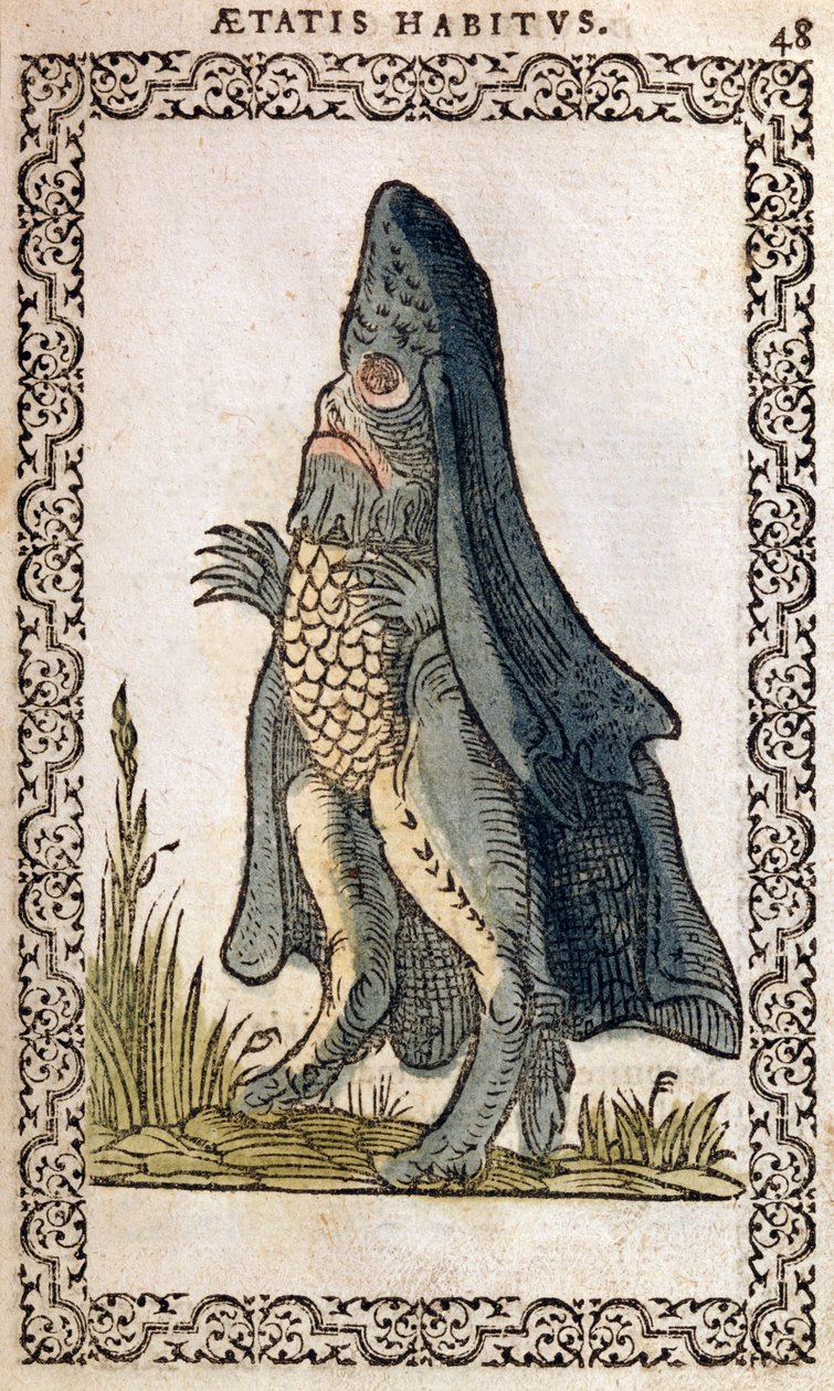 Deniz Piskoposu veya deniz canavarı, Jean Sluperji, Anvers, 1572 (renkli gravür) tarafından hazırlanan Neredeyse Tüm Milletlerin ve Çağdaş Milletlerin Alışkanlıkları ve Portreleri
