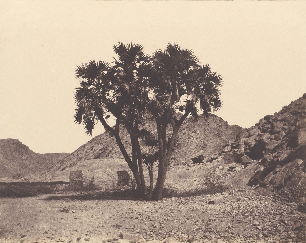 Mısır ve Nubia. Siteler ve anıtlar by Félix Teynard