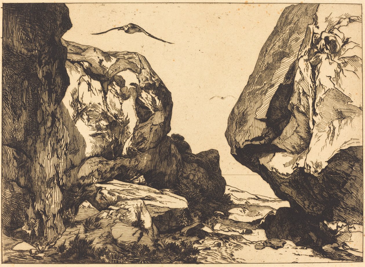Kayalardaki Gorge by Félix Bracquemond after Jules Laurens