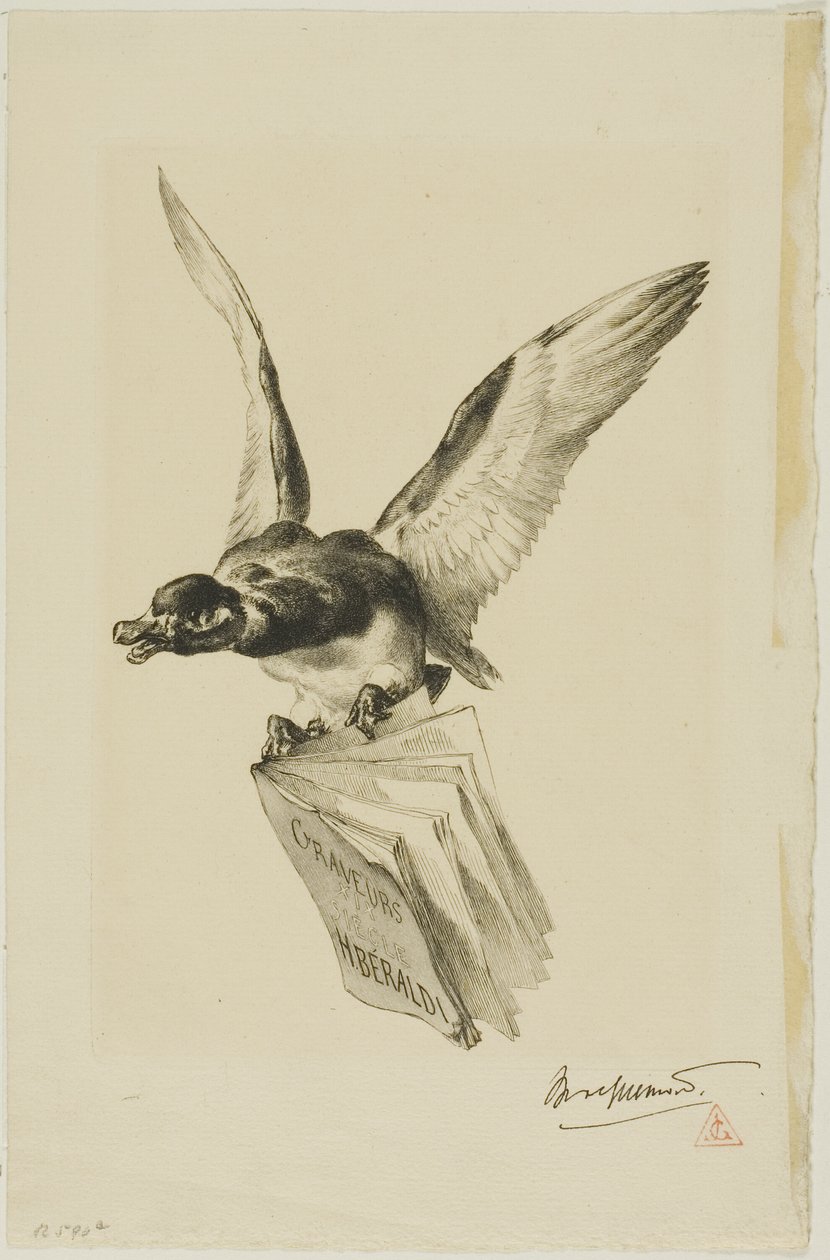  by Félix Henri Bracquemond