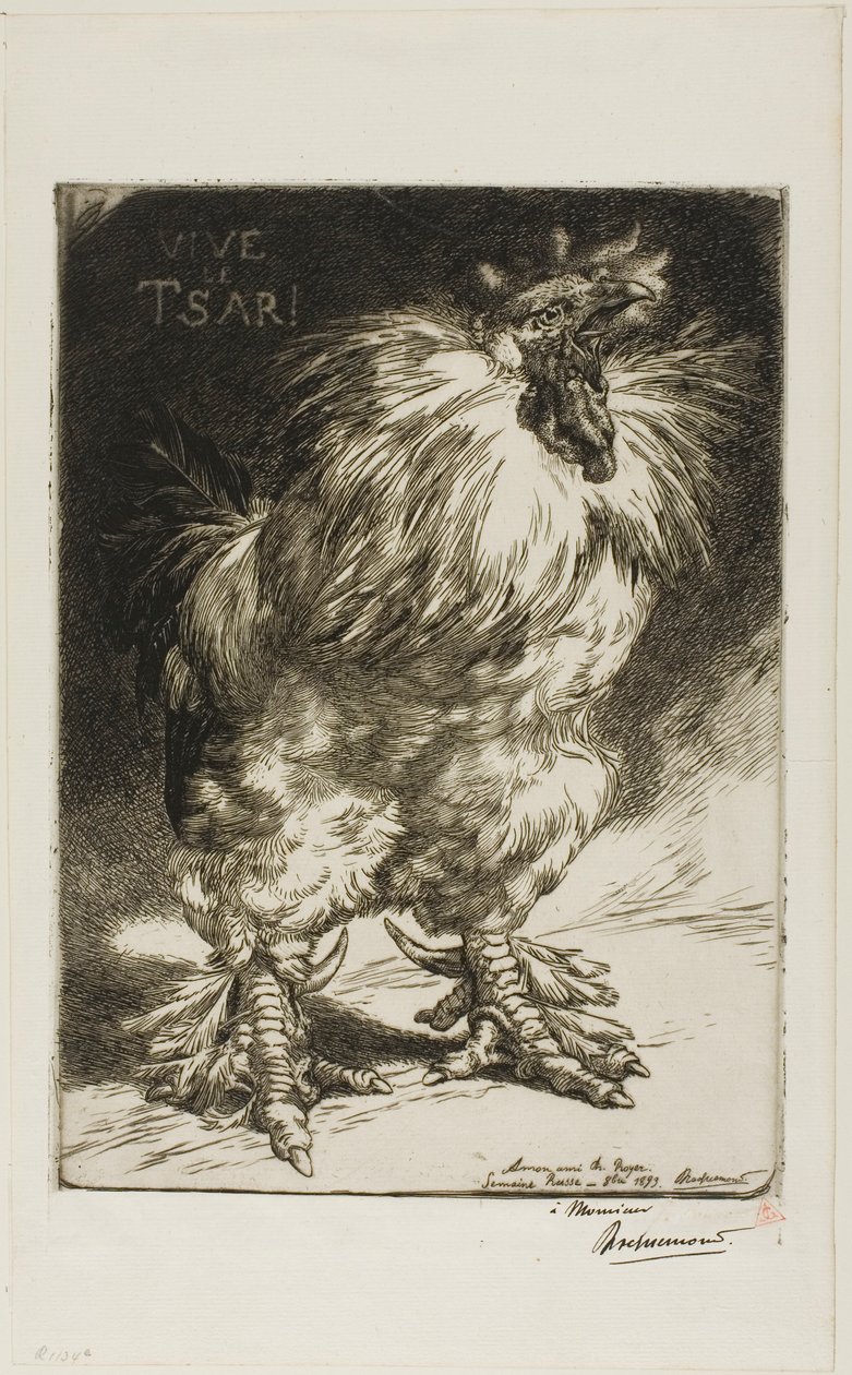  by Félix Henri Bracquemond