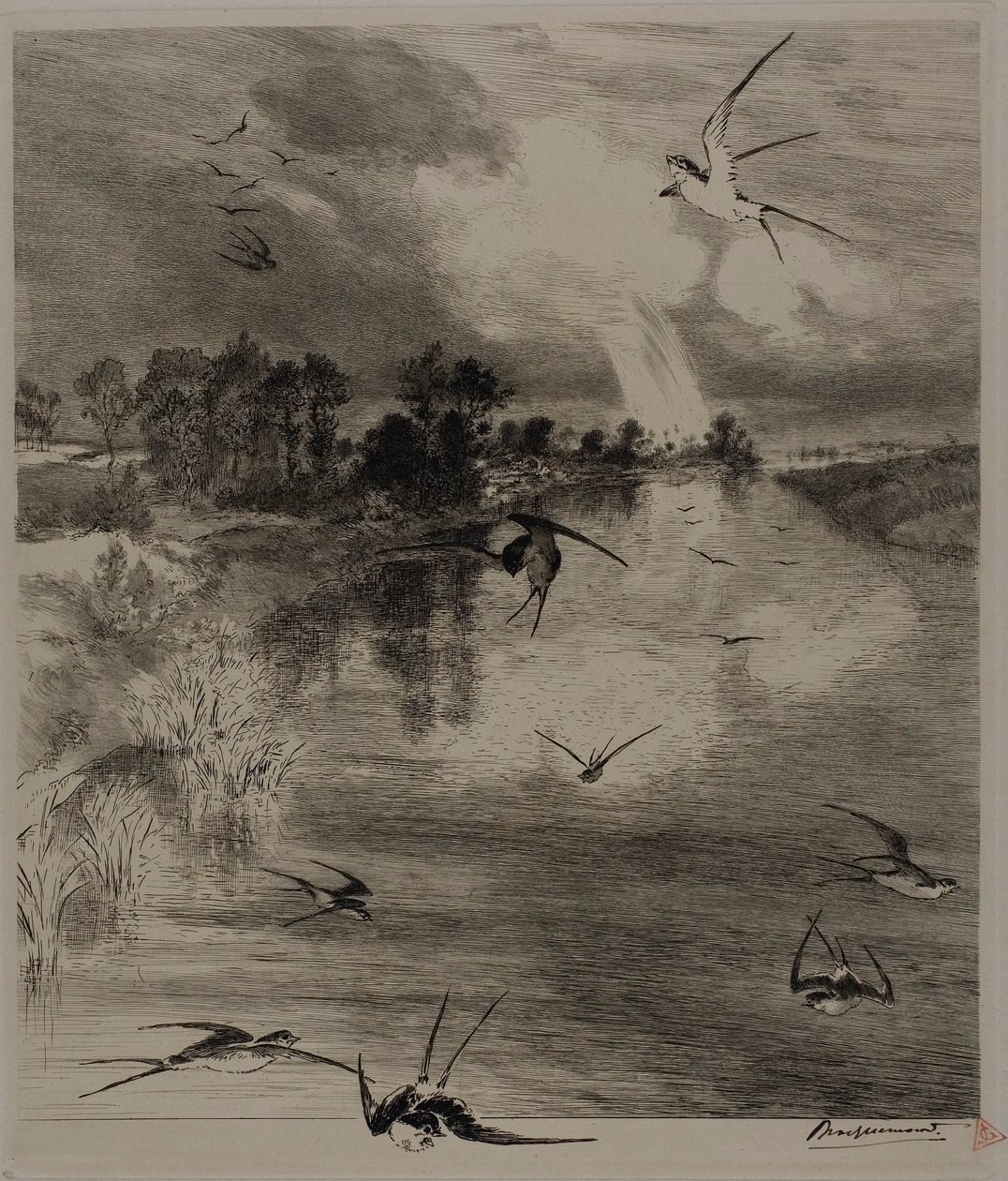  by Félix Henri Bracquemond