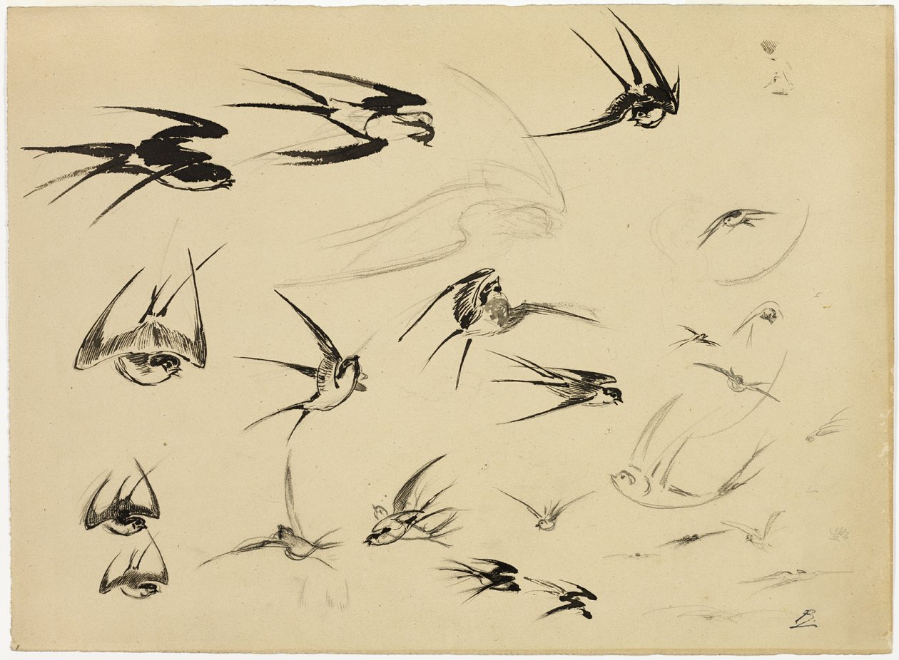  by Félix Henri Bracquemond