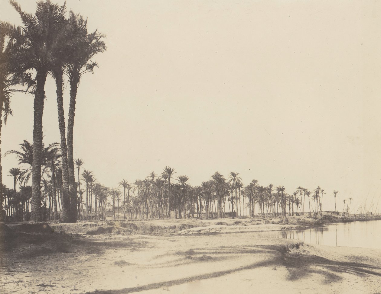 El-Nâcérah, Datiers, Rives du Nil et Barques, 1851-52, 1853-54 basılmış. by Félix Teynard