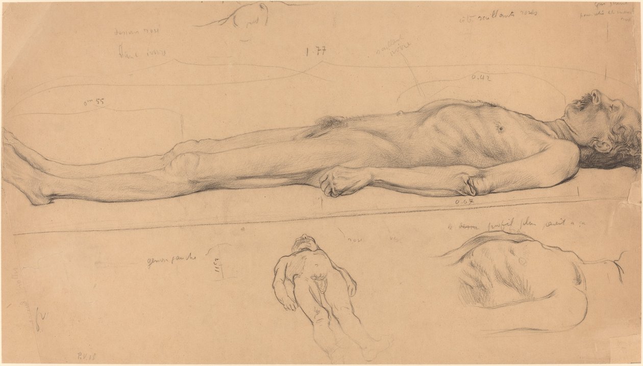 Ölü İsa için Ceset Çalışması, 1893. by Félix Vallotton