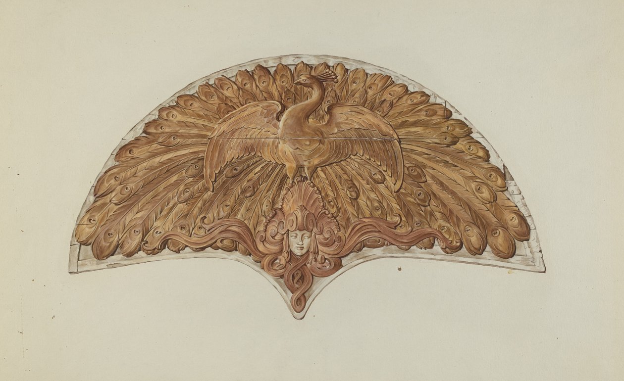 Tavus Kuşu Kabin Dekorasyonu by Flora Merchant