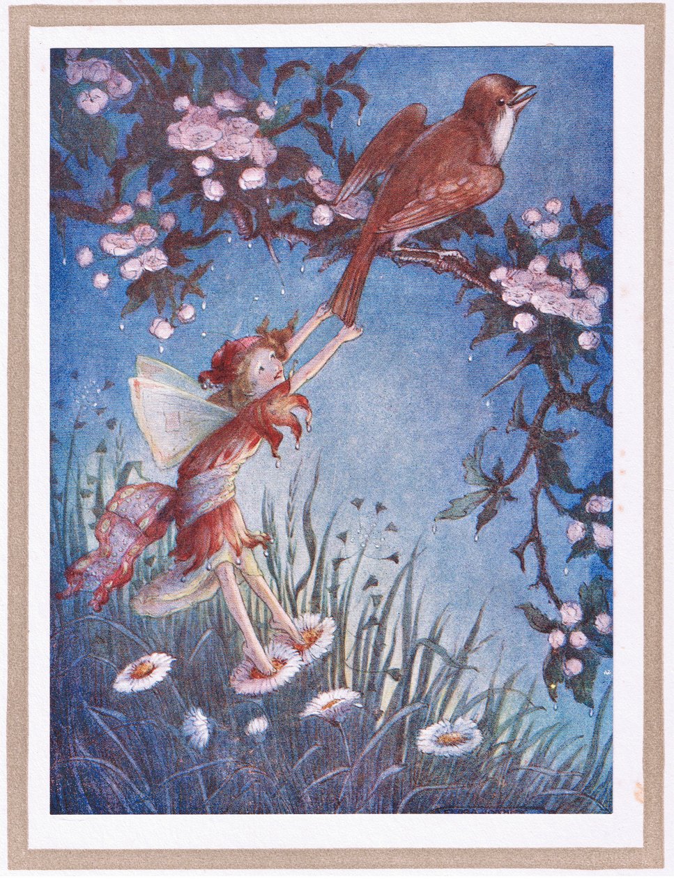  by Flora White