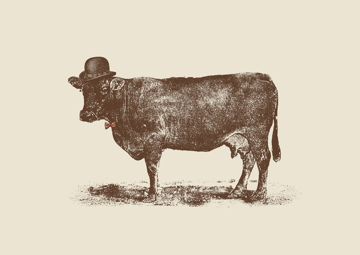 inek inek fındık by Florent Bodart