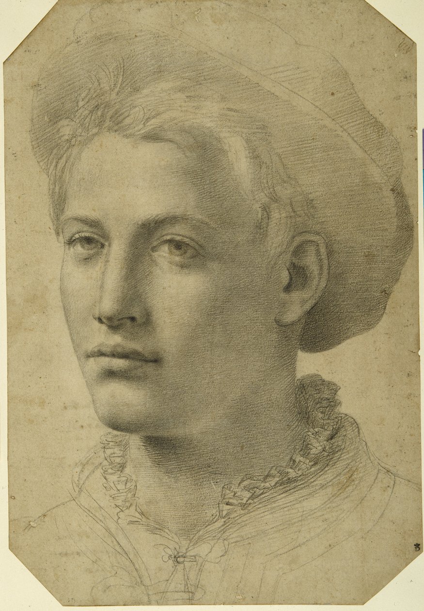 Şapka takan bir gencin portre başı, c.1530-40 (beyaz kağıt üzerine siyah tebeşir) by Florentine School