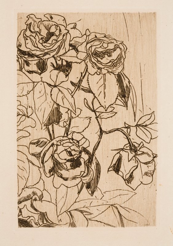 Gül çalışması by Floris Verster