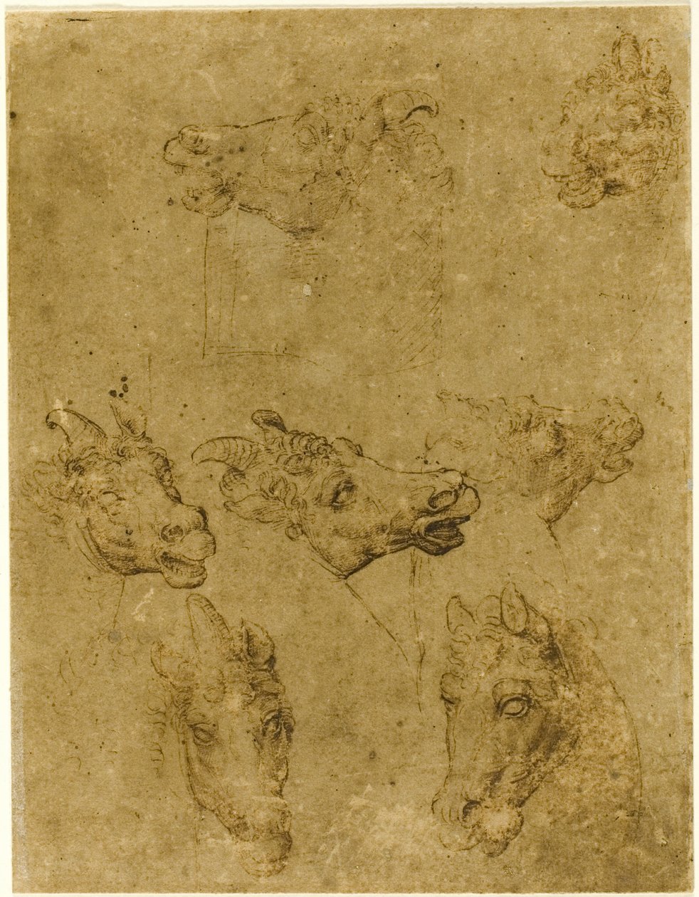 Atların ve Tekboynuzların Başları by Follower of Leonardo da Vinci