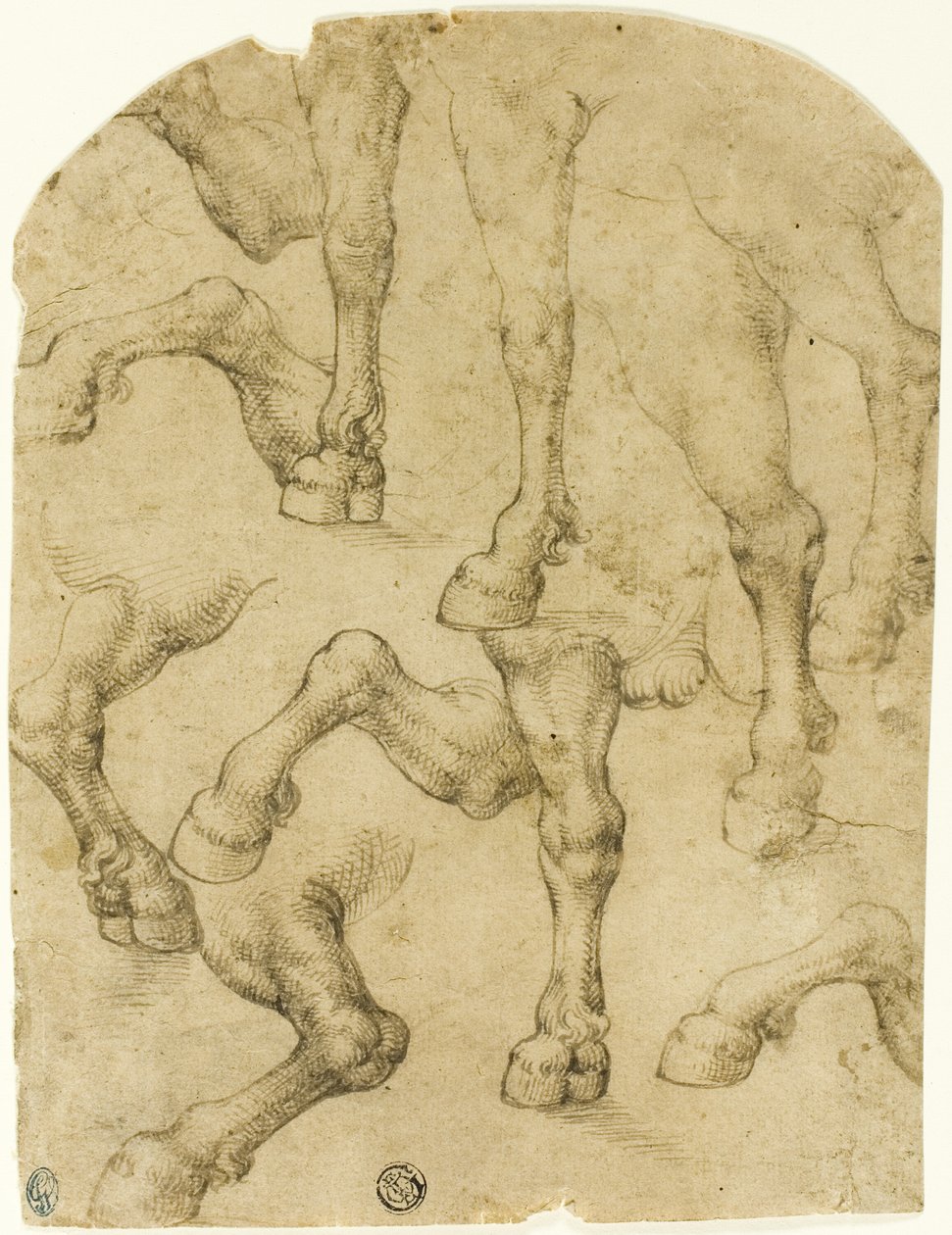  by Follower of Leonardo da Vinci