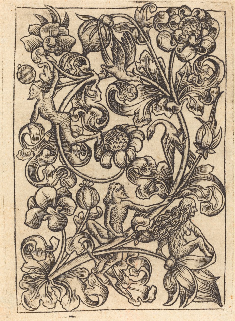 Yabani Halk ile Süsleme by Follower of Master E.S.