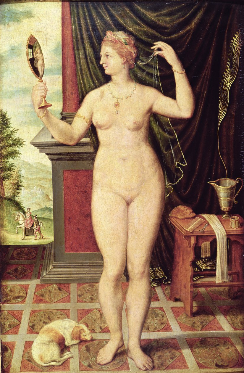 Aynalı Venüs by Fontainebleau School