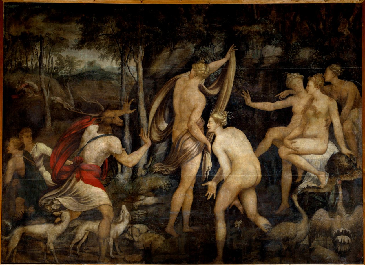 Av tanrıçası Diane (Artemis) ve Acteon, Fontainebleau Okulu'nun (16. yüzyıl) avcı resmi. Karartma 2,65 x 3,67 m by Fontainebleau School