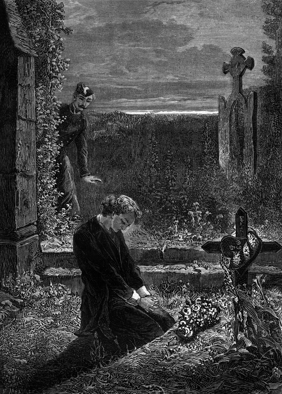  by Fortune Louis Meaulle