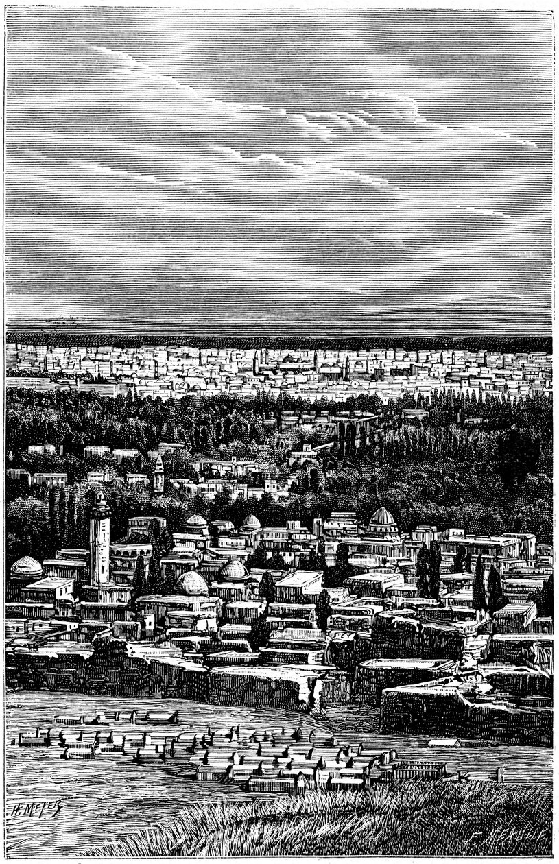  by Fortune Louis Meaulle
