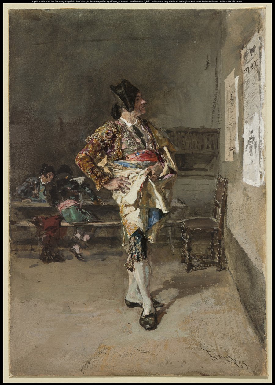 Toreador, 1869 by Fortuny y Carbó