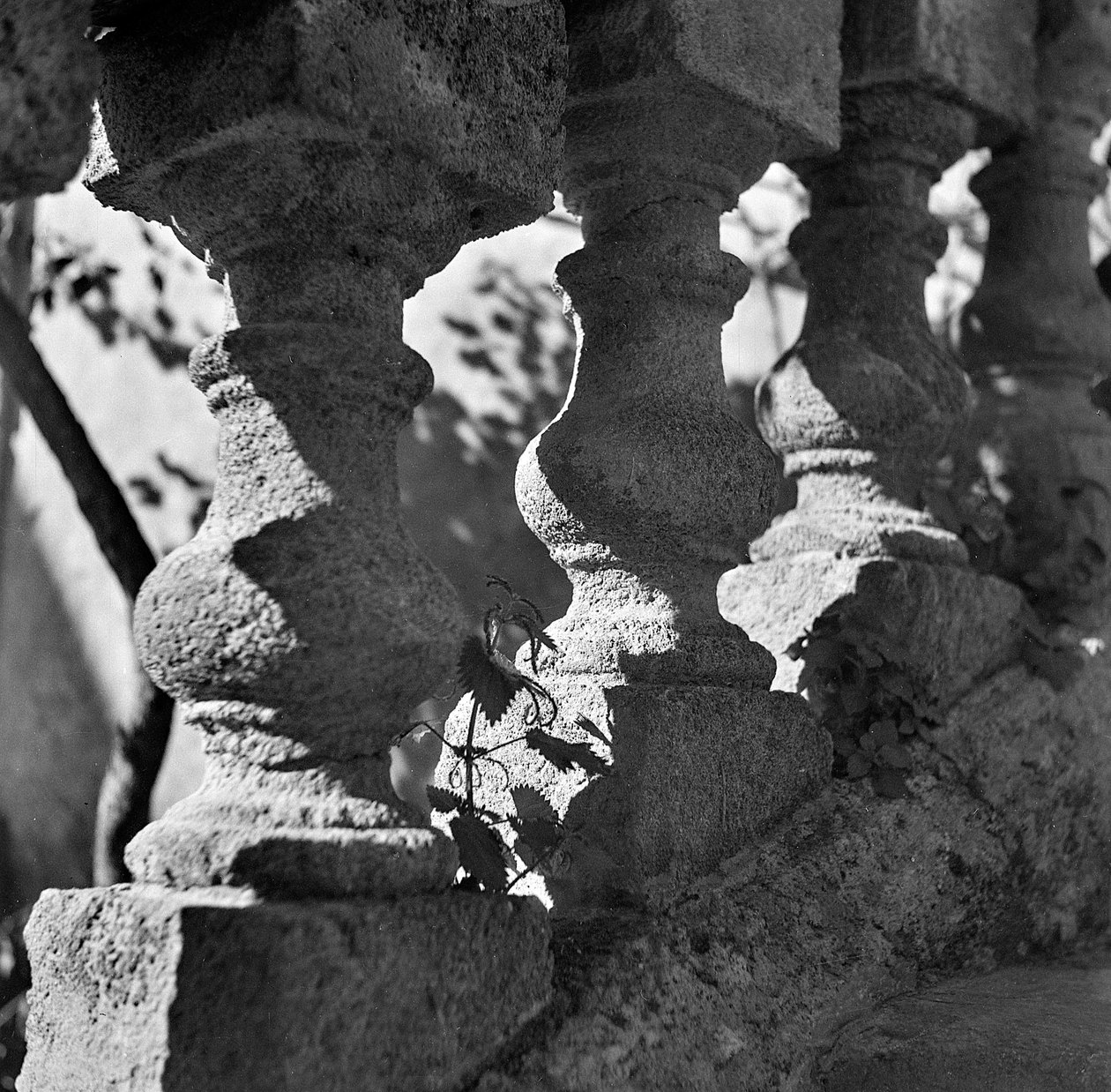  by Fosco Maraini