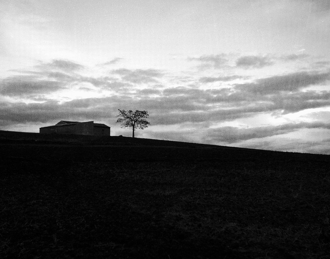  by Fosco Maraini