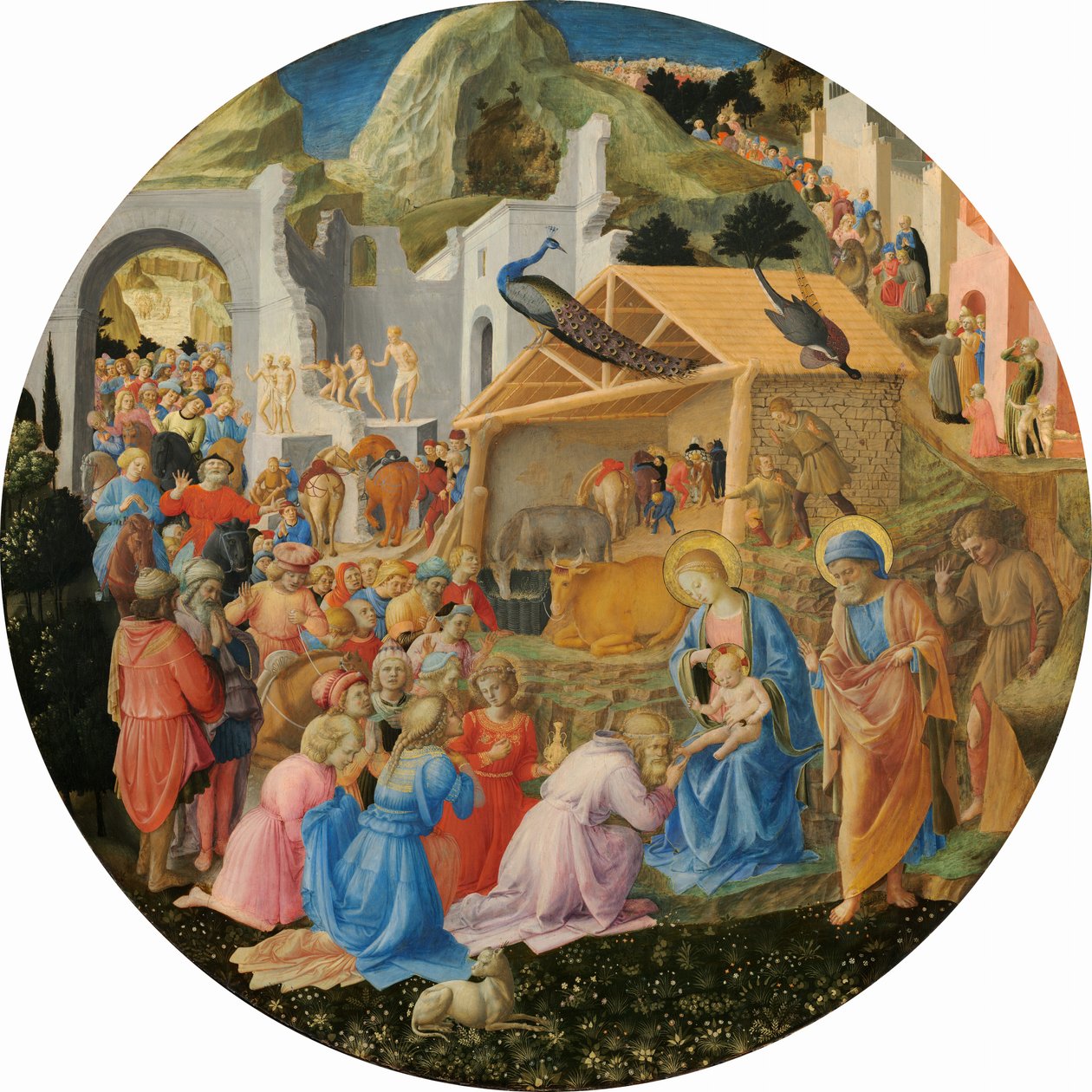 Magi