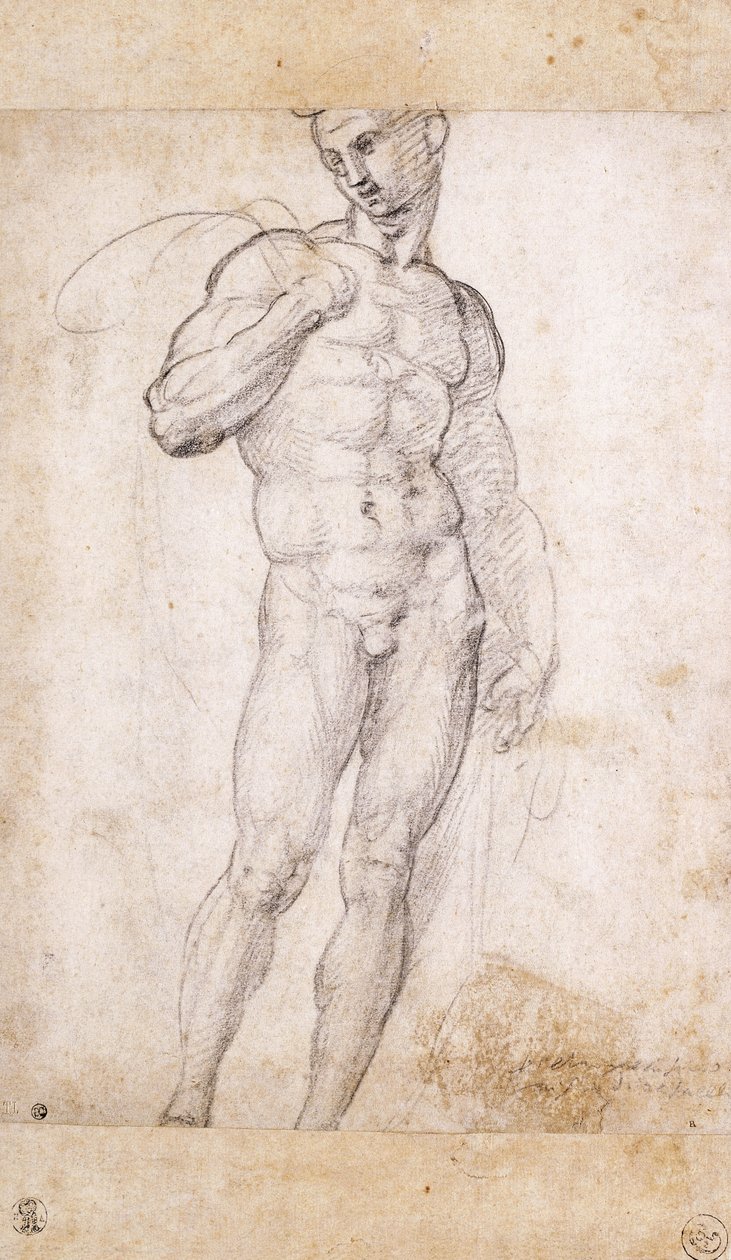 Omuzlarında pelerin tutan bir Çıplak, by Fra Bartolomeo