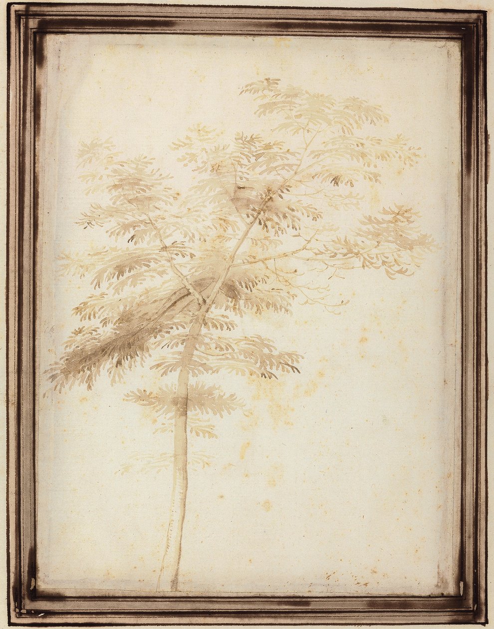 Bir Ağacın İncelenmesi by Fra Bartolomeo