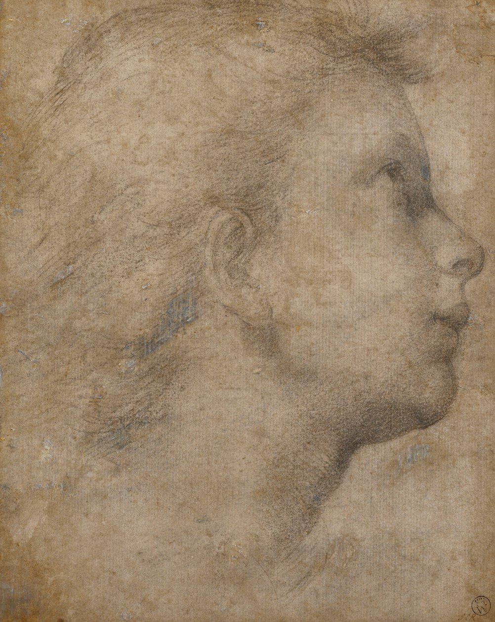 Sağa bakan Profilde bir Meleğin Başkanı, by Fra Bartolomeo
