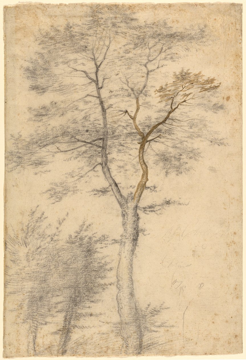  by Fra Bartolommeo (Baccio della Porta)