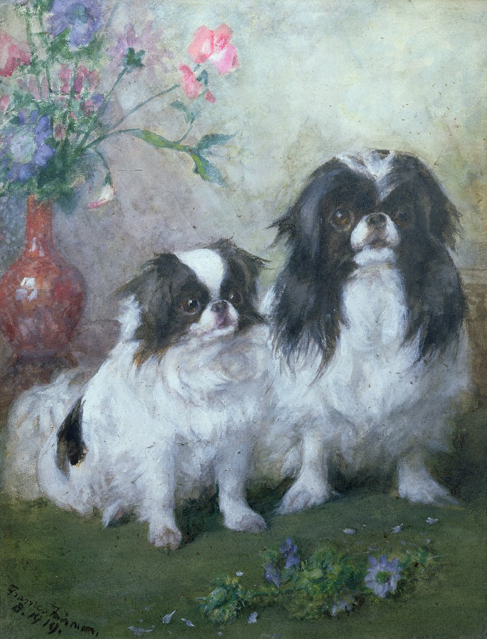 A Japanese Chin Bitch and her Puppy, 1919 (gouache and wc) by Frances C. Fairman