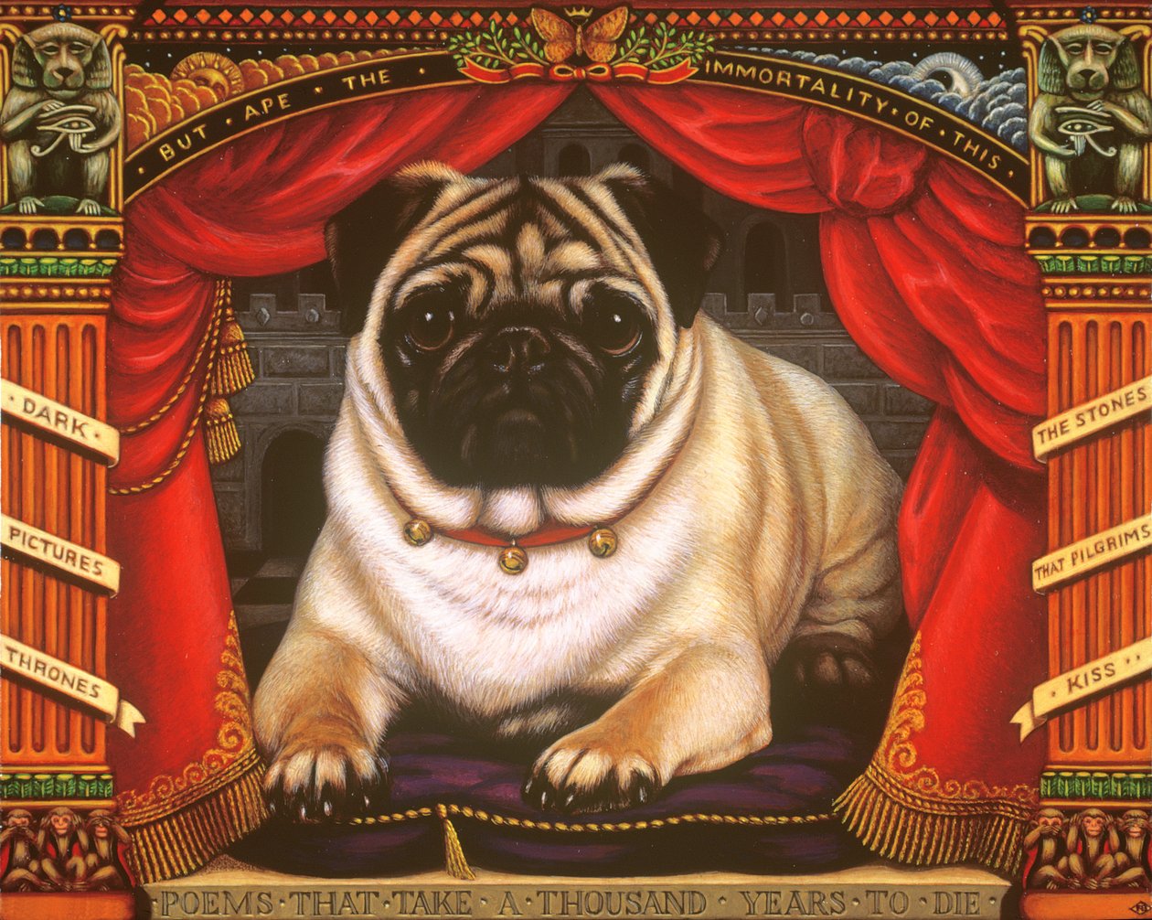 Nabokovs Pug, 2006 (panelde yağ ve tempera) by Frances Broomfield