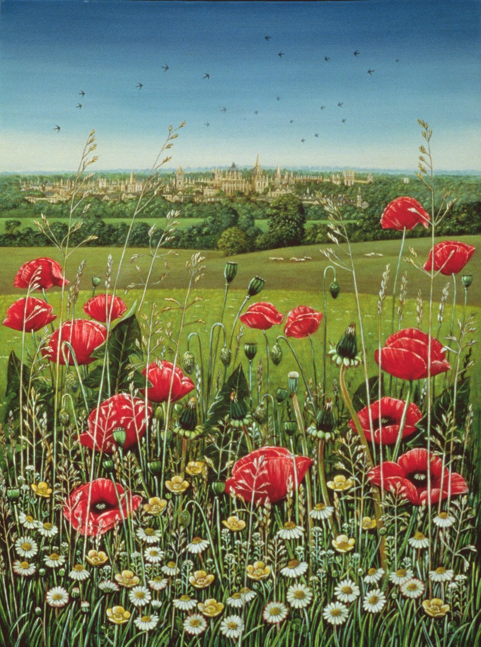 Oxford Poppies, 1983 (panelde yağ ve tempera) by Frances Broomfield