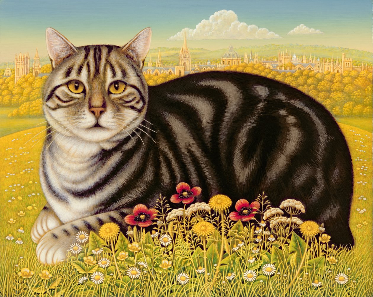 The Oxford Cat, 2001 (panelde yağ ve tempera) by Frances Broomfield