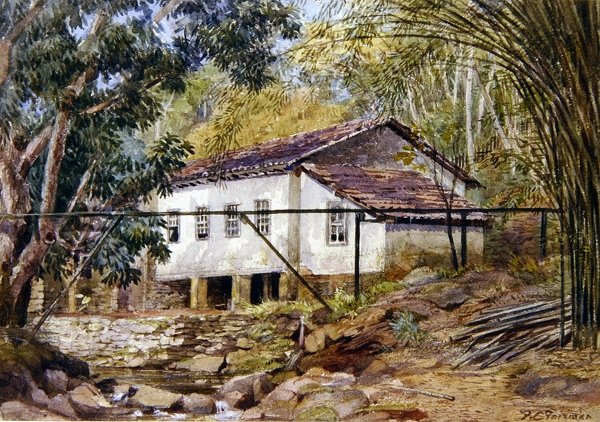Britanya Batı Hint Adaları (kağıt üzerine sulu boya) by Frances C. Fairman
