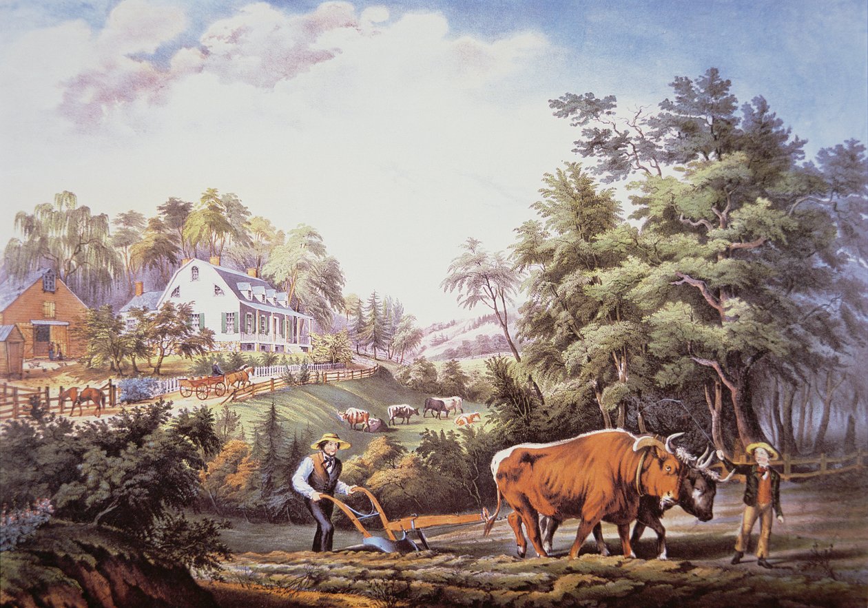 amerikan çiftlik sahnesi by Frances Flora Bond (c.1812 76) Palmer