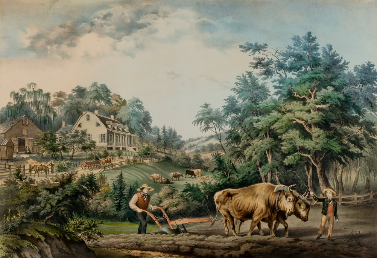  by Frances Flora Bond Palmer