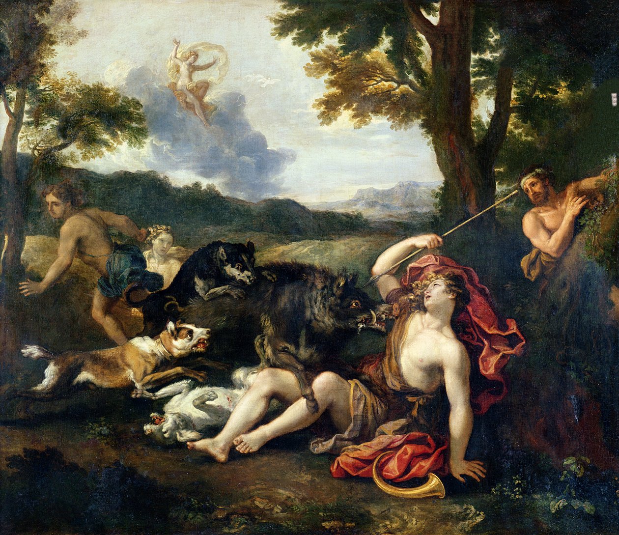 Bir Yaban Domuzu Tarafından Öldürülen Adonis by Francesco Albani