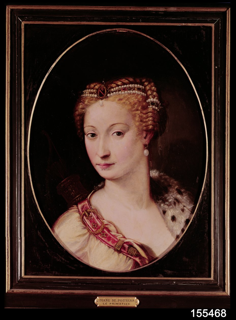 Diane de Poitiers (1499-1566) (arduvaz üzerine yağlı boya) by Francesco Primaticcio
