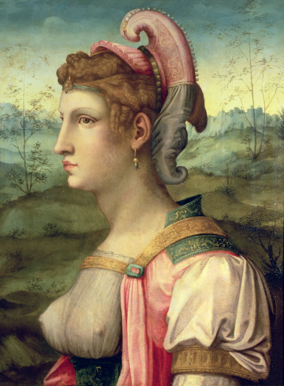 Sibyl, c.1540  by Francesco Ubertini Verdi Bachiacca